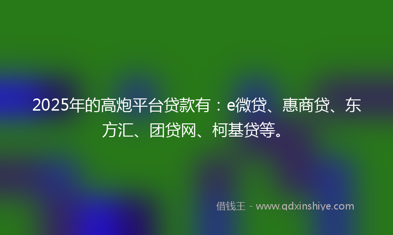 2025年的高炮平台贷款有：e微贷、惠商贷、东方汇、团贷网、柯基贷等。