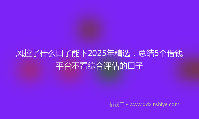 风控了什么口子能下2025年精选，总结5个借钱平台不看综合评估的口子