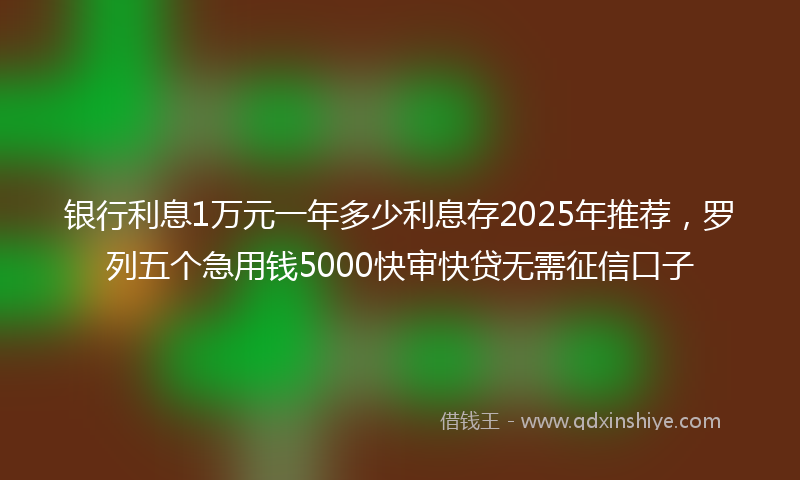 银行利息1万元一年多少利息存2025年推荐，罗列五个急用钱5000快审快贷无需征信口子