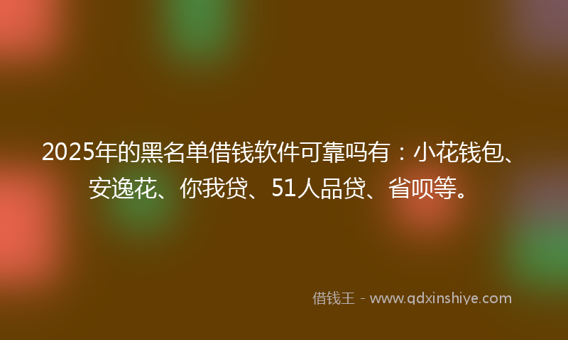 2025年的黑名单借钱软件可靠吗有：小花钱包、安逸花、你我贷、51人品贷、省呗等。