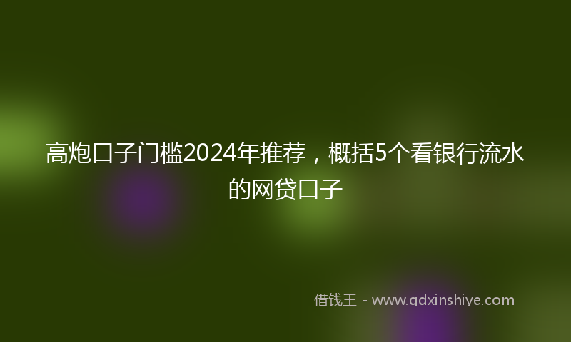 高炮口子门槛2024年推荐，概括5个看银行流水的网贷口子