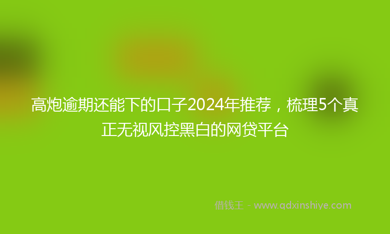 高炮逾期还能下的口子2024年推荐，梳理5个真正无视风控黑白的网贷平台