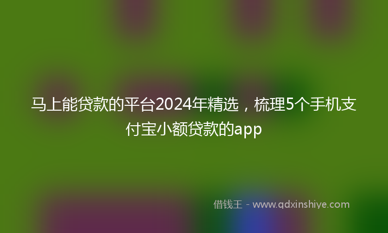 马上能贷款的平台2024年精选，梳理5个手机支付宝小额贷款的app