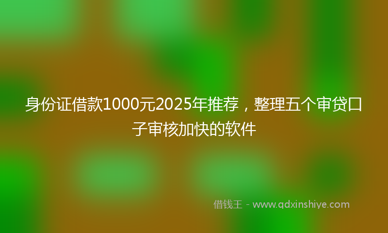 身份证借款1000元2025年推荐，整理五个审贷口子审核加快的软件