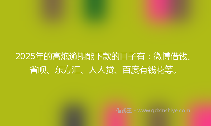 2025年的高炮逾期能下款的口子有：微博借钱、省呗、东方汇、人人贷、百度有钱花等。