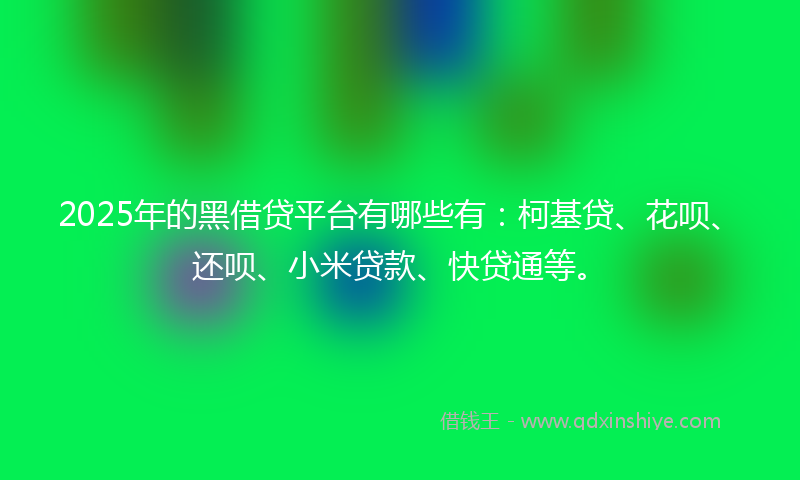 2025年的黑借贷平台有哪些有：柯基贷、花呗、还呗、小米贷款、快贷通等。