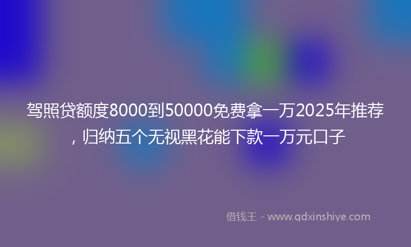 驾照贷额度8000到50000免费拿一万2025年推荐，归纳五个无视黑花能下款一万元口子