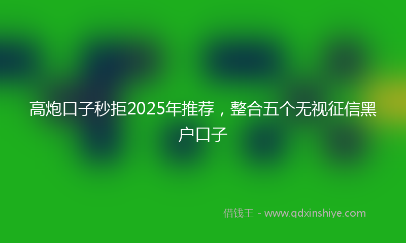 高炮口子秒拒2025年推荐，整合五个无视征信黑户口子