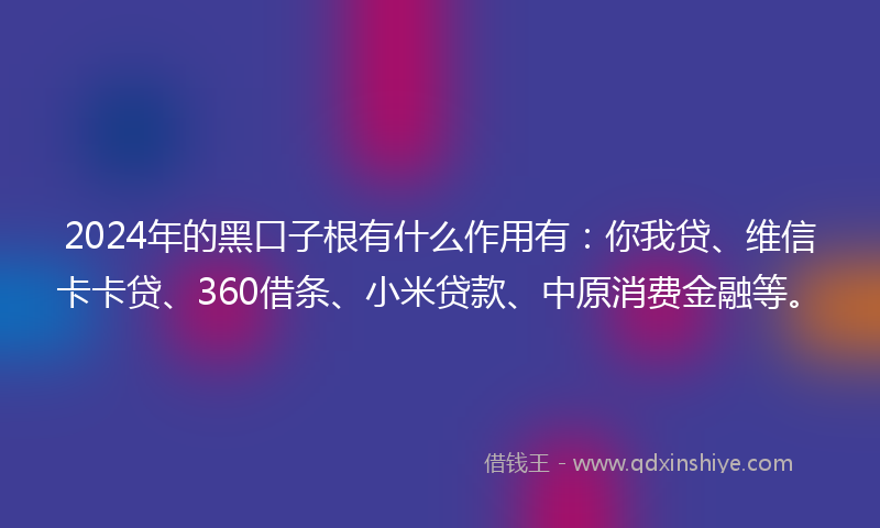 2024年的黑口子根有什么作用有：你我贷、维信卡卡贷、360借条、小米贷款、中原消费金融等。