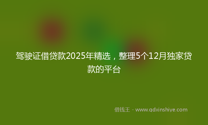 驾驶证借贷款2025年精选，整理5个12月独家贷款的平台