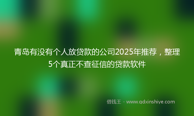 青岛有没有个人放贷款的公司2025年推荐，整理5个真正不查征信的贷款软件