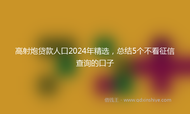 高射炮贷款人口2024年精选，总结5个不看征信查询的口子