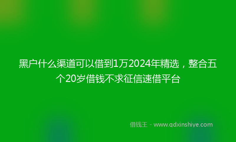 黑户什么渠道可以借到1万2024年精选，整合五个20岁借钱不求征信速借平台
