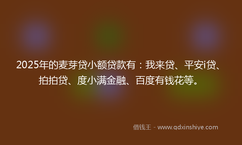 2025年的麦芽贷小额贷款有：我来贷、平安i贷、拍拍贷、度小满金融、百度有钱花等。