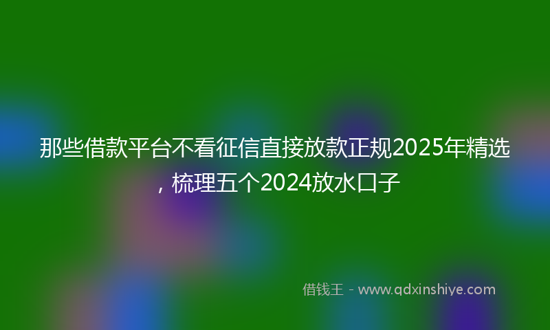 那些借款平台不看征信直接放款正规2025年精选，梳理五个2024放水口子