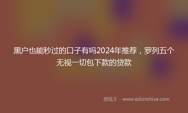 黑户也能秒过的口子有吗2024年推荐，罗列五个无视一切包下款的贷款