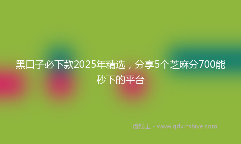 黑口子必下款2025年精选，分享5个芝麻分700能秒下的平台