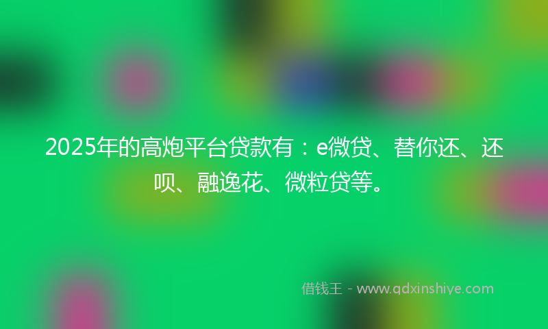 2025年的高炮平台贷款有：e微贷、替你还、还呗、融逸花、微粒贷等。