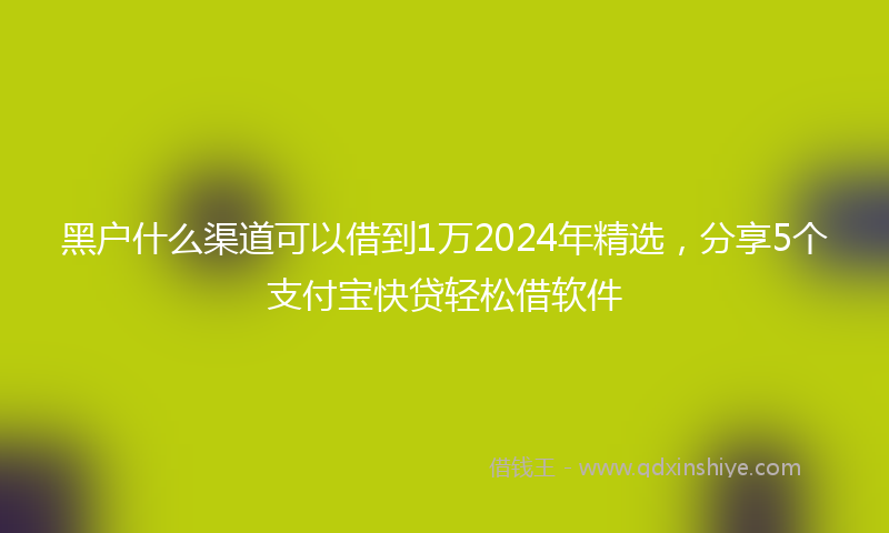 黑户什么渠道可以借到1万2024年精选，分享5个支付宝快贷轻松借软件