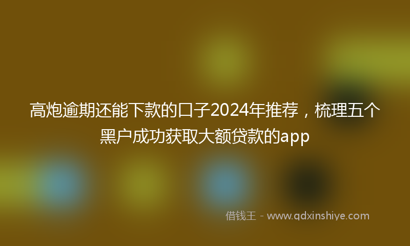 高炮逾期还能下款的口子2024年推荐，梳理五个黑户成功获取大额贷款的app