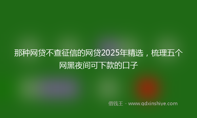 那种网贷不查征信的网贷2025年精选，梳理五个网黑夜间可下款的口子