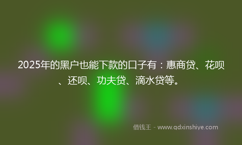 2025年的黑户也能下款的口子有：惠商贷、花呗、还呗、功夫贷、滴水贷等。