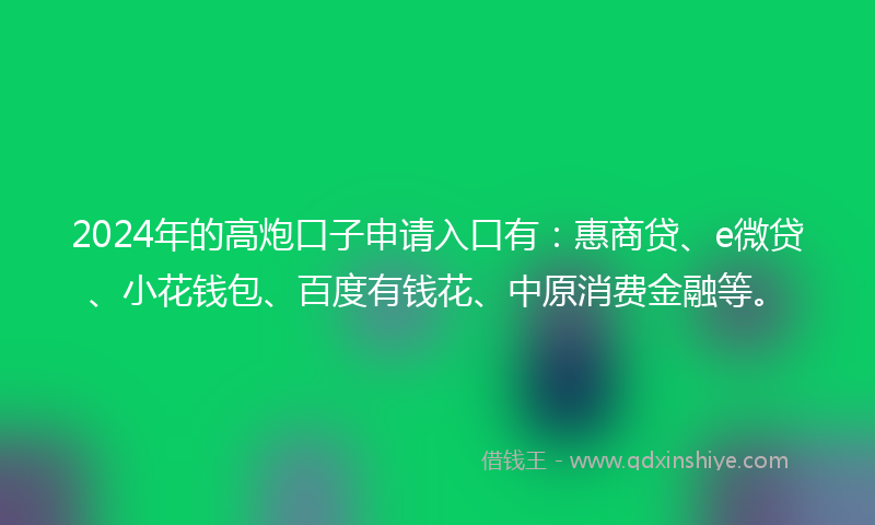 2024年的高炮口子申请入口有：惠商贷、e微贷、小花钱包、百度有钱花、中原消费金融等。
