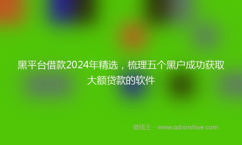 黑平台借款2024年精选，梳理五个黑户成功获取大额贷款的软件