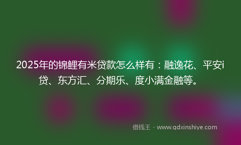 2025年的锦鲤有米贷款怎么样有：融逸花、平安i贷、东方汇、分期乐、度小满金融等。