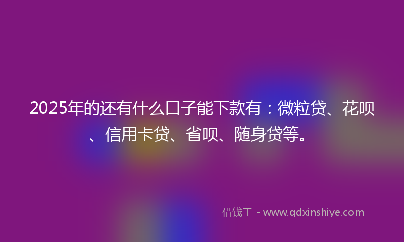 2025年的还有什么口子能下款有：微粒贷、花呗、信用卡贷、省呗、随身贷等。