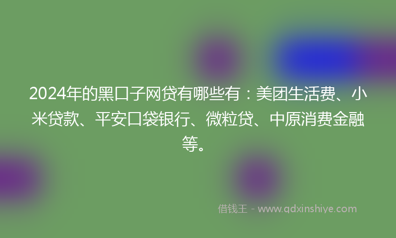 2024年的黑口子网贷有哪些有：美团生活费、小米贷款、平安口袋银行、微粒贷、中原消费金融等。