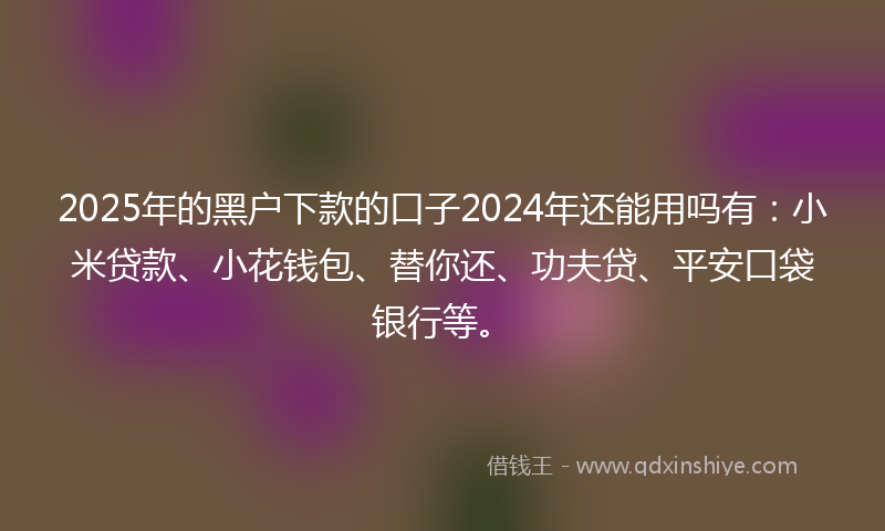 2025年的黑户下款的口子2024年还能用吗有：小米贷款、小花钱包、替你还、功夫贷、平安口袋银行等。