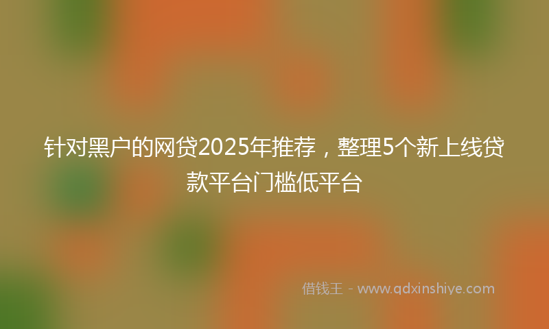 针对黑户的网贷2025年推荐，整理5个新上线贷款平台门槛低平台