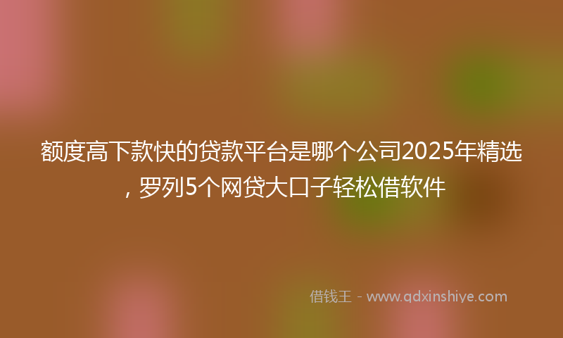 额度高下款快的贷款平台是哪个公司2025年精选，罗列5个网贷大口子轻松借软件