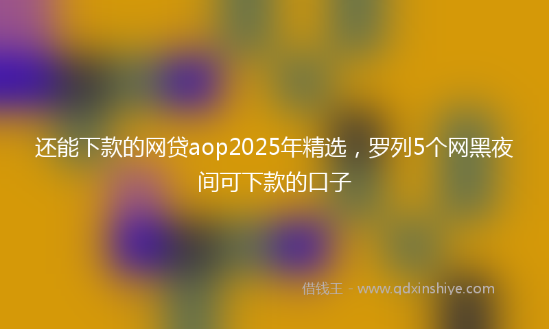 还能下款的网贷aop2025年精选，罗列5个网黑夜间可下款的口子