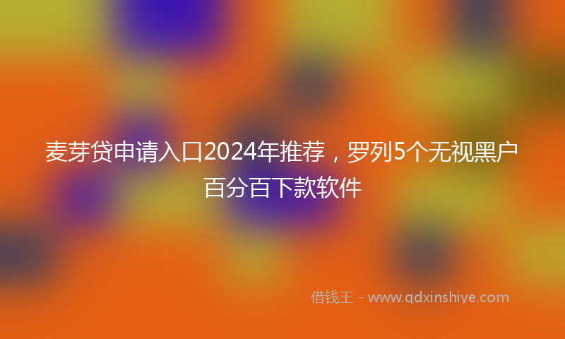 麦芽贷申请入口2024年推荐，罗列5个无视黑户百分百下款软件
