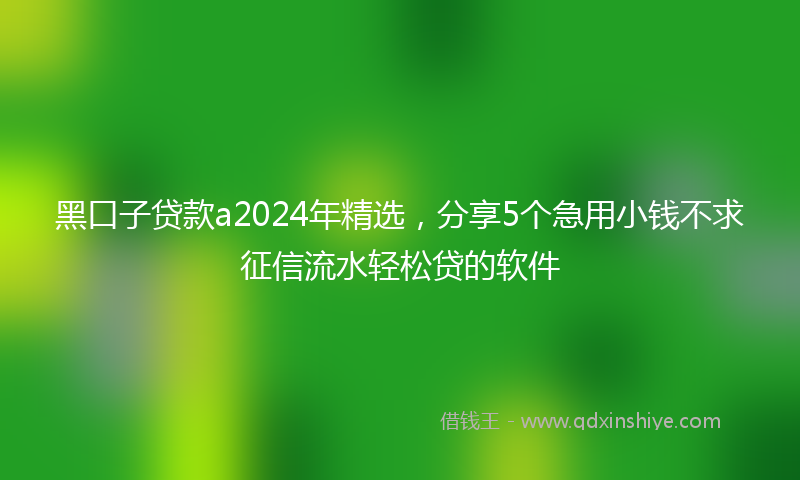 黑口子贷款a2024年精选，分享5个急用小钱不求征信流水轻松贷的软件