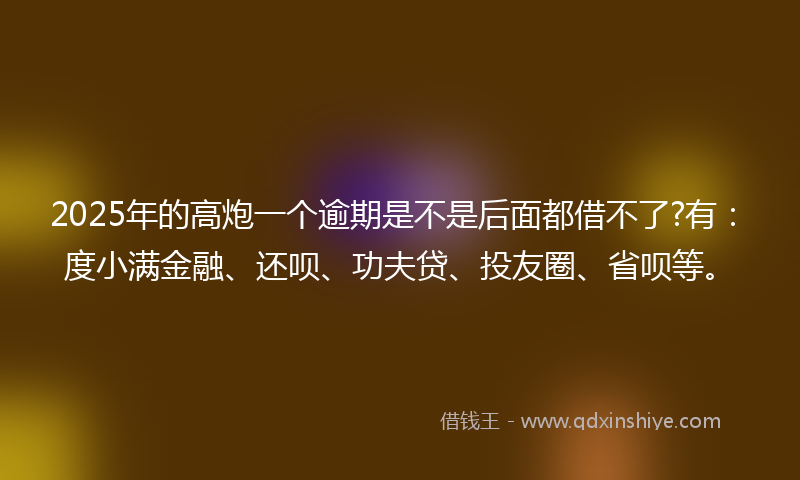 2025年的高炮一个逾期是不是后面都借不了?有：度小满金融、还呗、功夫贷、投友圈、省呗等。