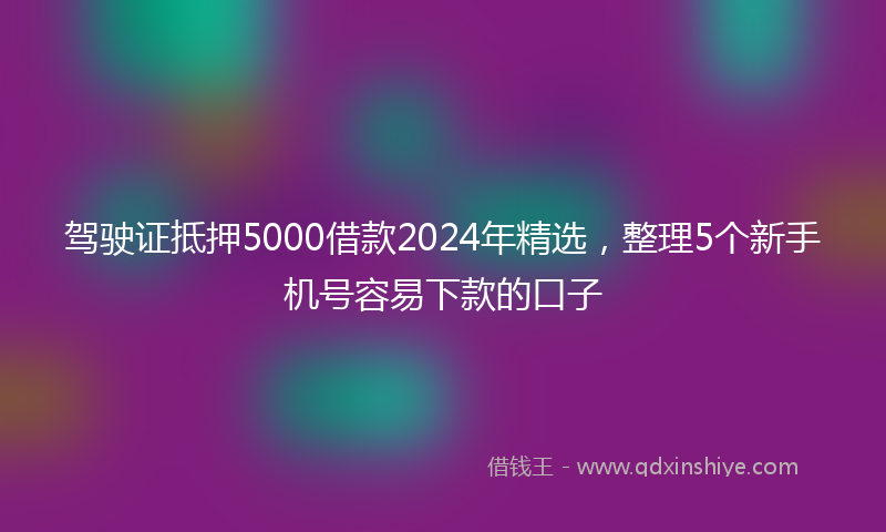 驾驶证抵押5000借款2024年精选，整理5个新手机号容易下款的口子