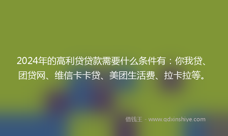 2024年的高利贷贷款需要什么条件有：你我贷、团贷网、维信卡卡贷、美团生活费、拉卡拉等。
