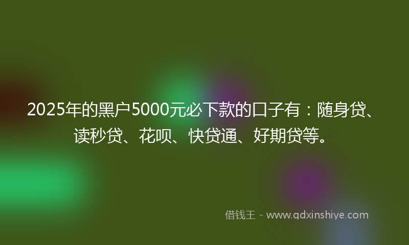2025年的黑户5000元必下款的口子有：随身贷、读秒贷、花呗、快贷通、好期贷等。