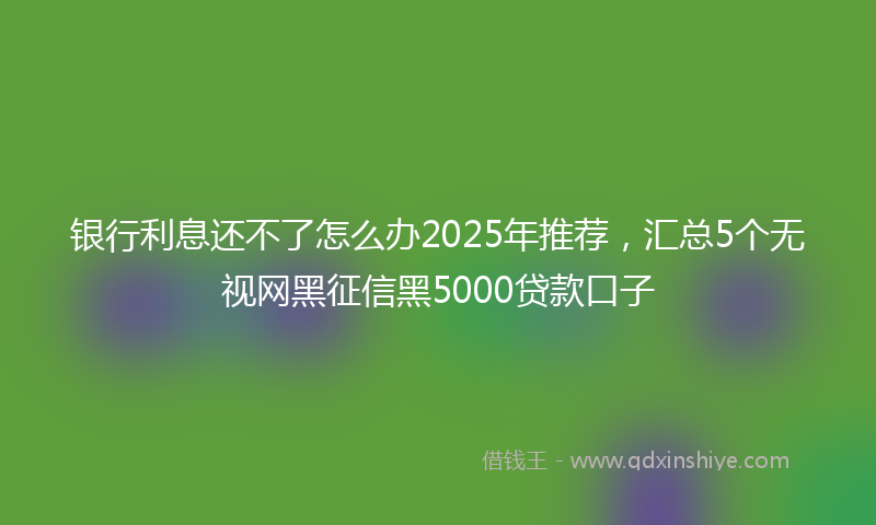 银行利息还不了怎么办2025年推荐，汇总5个无视网黑征信黑5000贷款口子