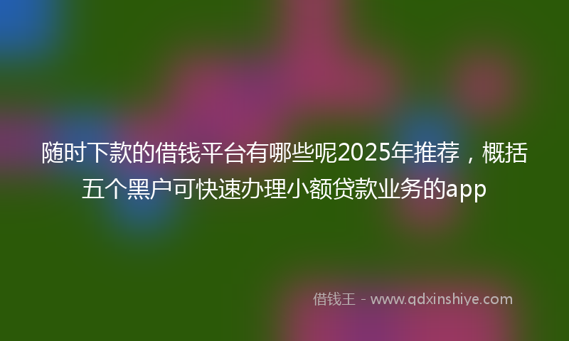 随时下款的借钱平台有哪些呢2025年推荐，概括五个黑户可快速办理小额贷款业务的app