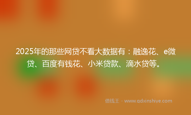 2025年的那些网贷不看大数据有：融逸花、e微贷、百度有钱花、小米贷款、滴水贷等。