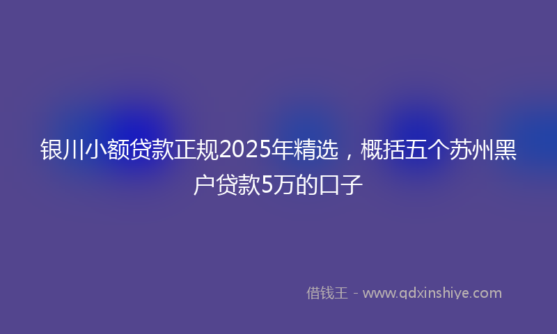 银川小额贷款正规2025年精选，概括五个苏州黑户贷款5万的口子
