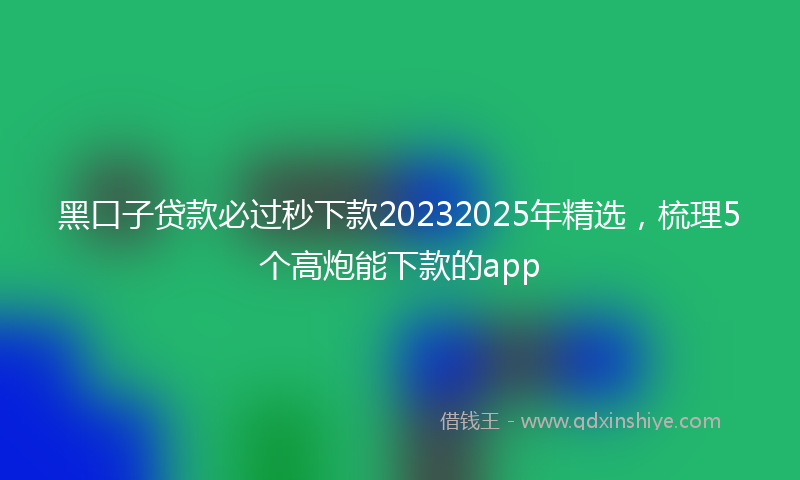 黑口子贷款必过秒下款20232025年精选，梳理5个高炮能下款的app