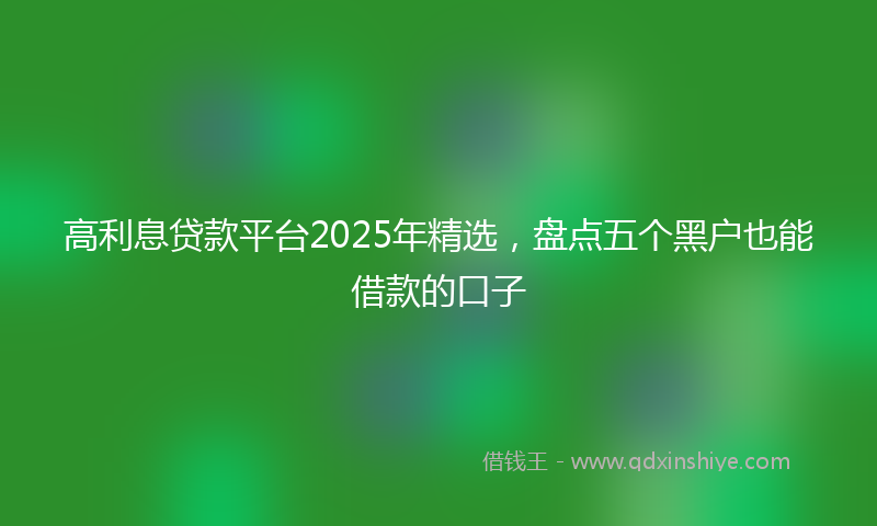 高利息贷款平台2025年精选，盘点五个黑户也能借款的口子