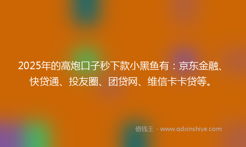 2025年的高炮口子秒下款小黑鱼有：京东金融、快贷通、投友圈、团贷网、维信卡卡贷等。