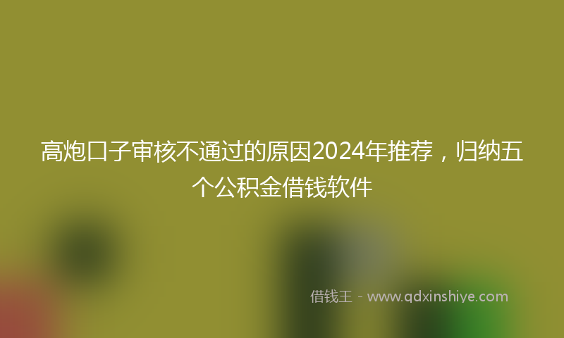高炮口子审核不通过的原因2024年推荐，归纳五个公积金借钱软件