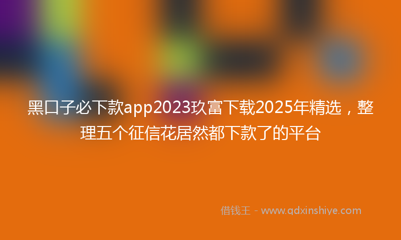 黑口子必下款app2023玖富下载2025年精选，整理五个征信花居然都下款了的平台